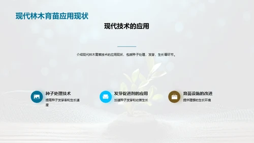 林木育苗：科技驱动