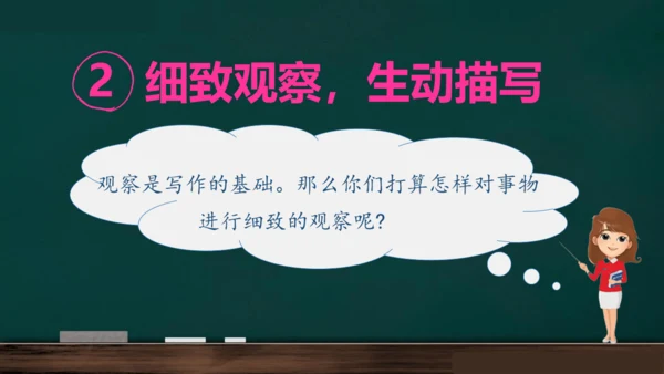 统编版语文三年级上册 第五单元习作： 我们眼中的缤纷世界课件