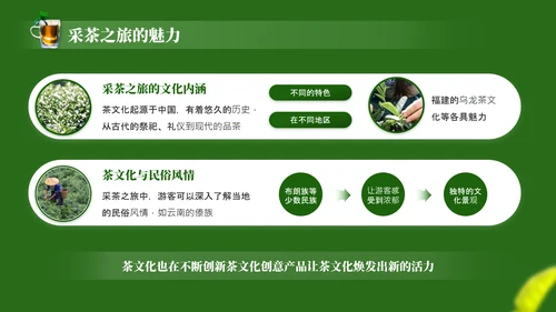 茶文化采茶旅游PPT模板_采茶之旅与文化体验报告PPT模板