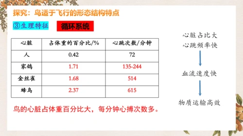 人教版生物八年级上册5.1.6《鸟》课件(共27张PPT)
