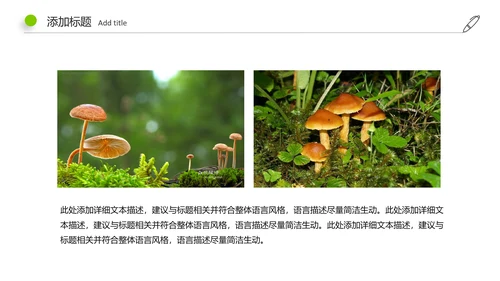 高清野生菌类动态PPT模板