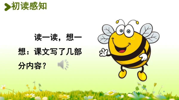 11.我是一只小虫子 课件