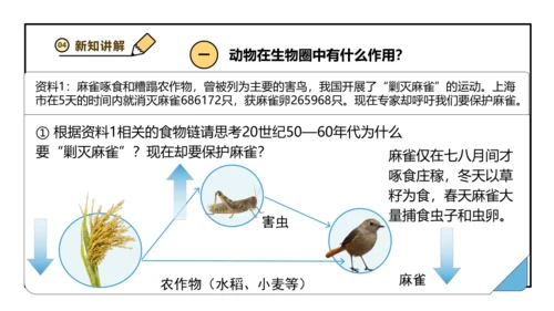 人教版生物八上 5.3动物在生物圈中的作用(共25张PPT)