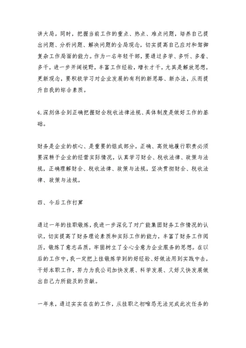 财务处挂职锻炼工作总结