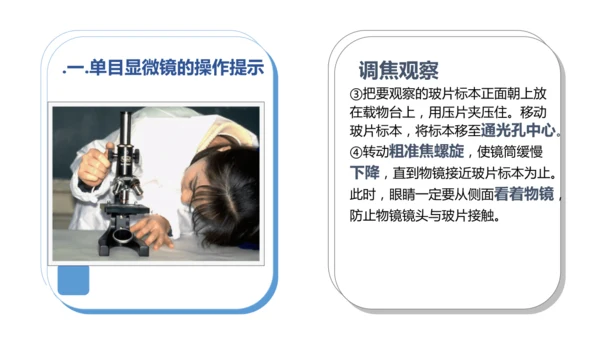 人教版（2024）七年级上册1.2.1 学习使用显微镜 课件(共29张PPT)