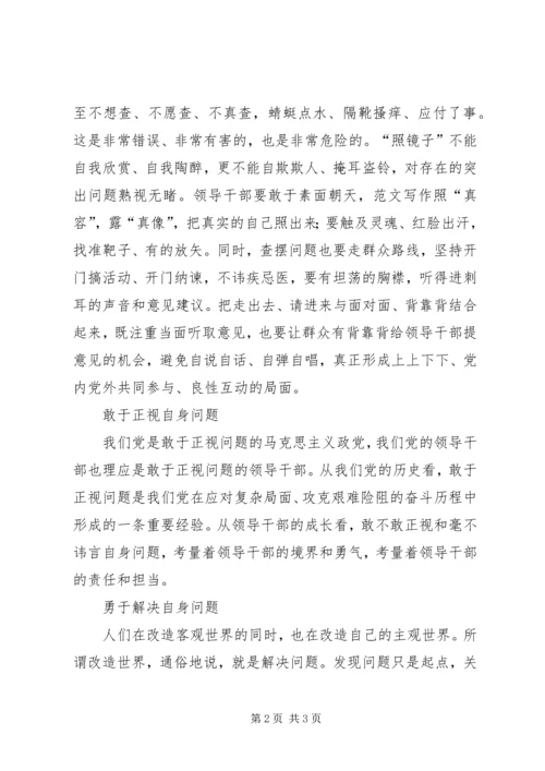 领导干部党的群众路线活动剖析整改报告.docx