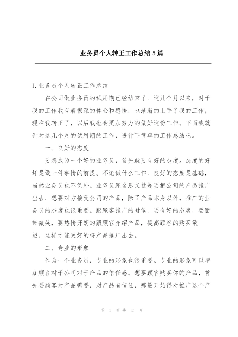 业务员个人转正工作总结5篇.docx