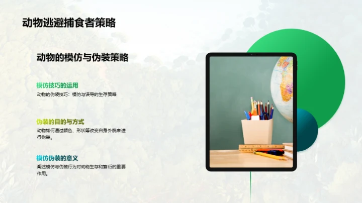 动物世界的奥秘