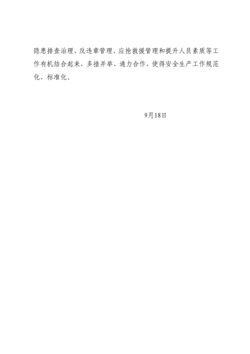 安全生产百日专项活动实施专项方案.docx