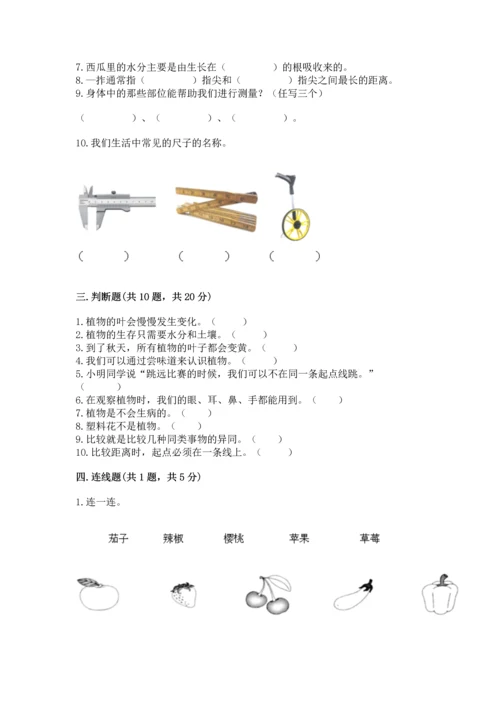 教科版科学一年级上册期末测试卷（精品）word版.docx