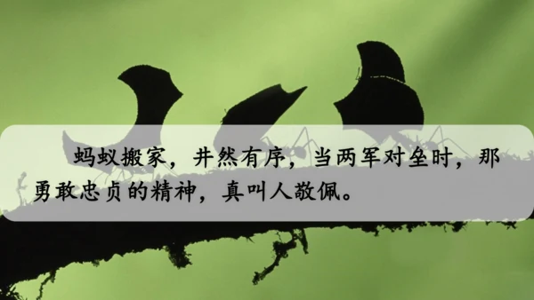 22 读不完的大书  课件