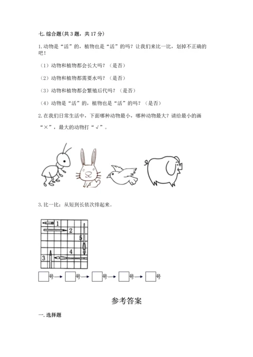 教科版一年级上册科学期末测试卷附答案（夺分金卷）.docx