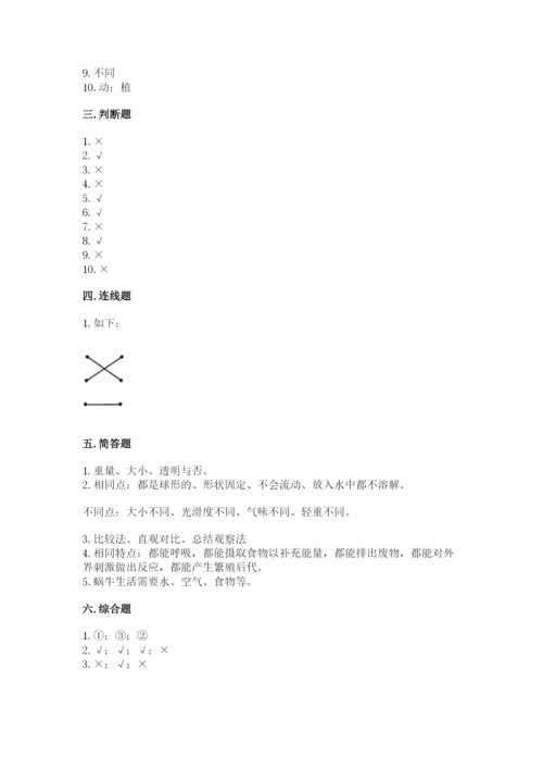 教科版一年级下册科学期末测试卷精品【基础题】.docx