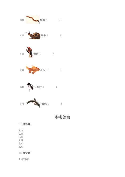 教科版二年级上册科学期末测试卷附答案【实用】.docx