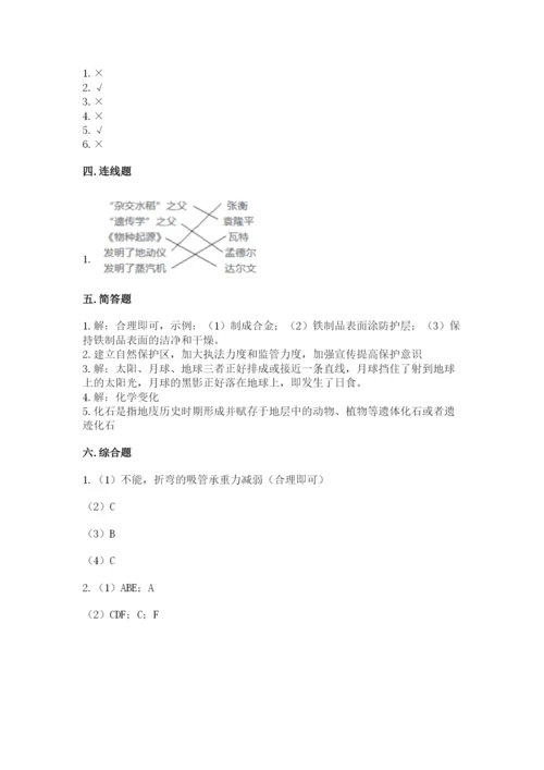 教科版六年级下册科学期末测试卷1套.docx