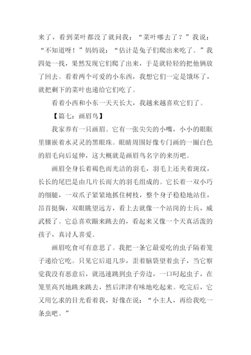 描写动物的作文450字.docx