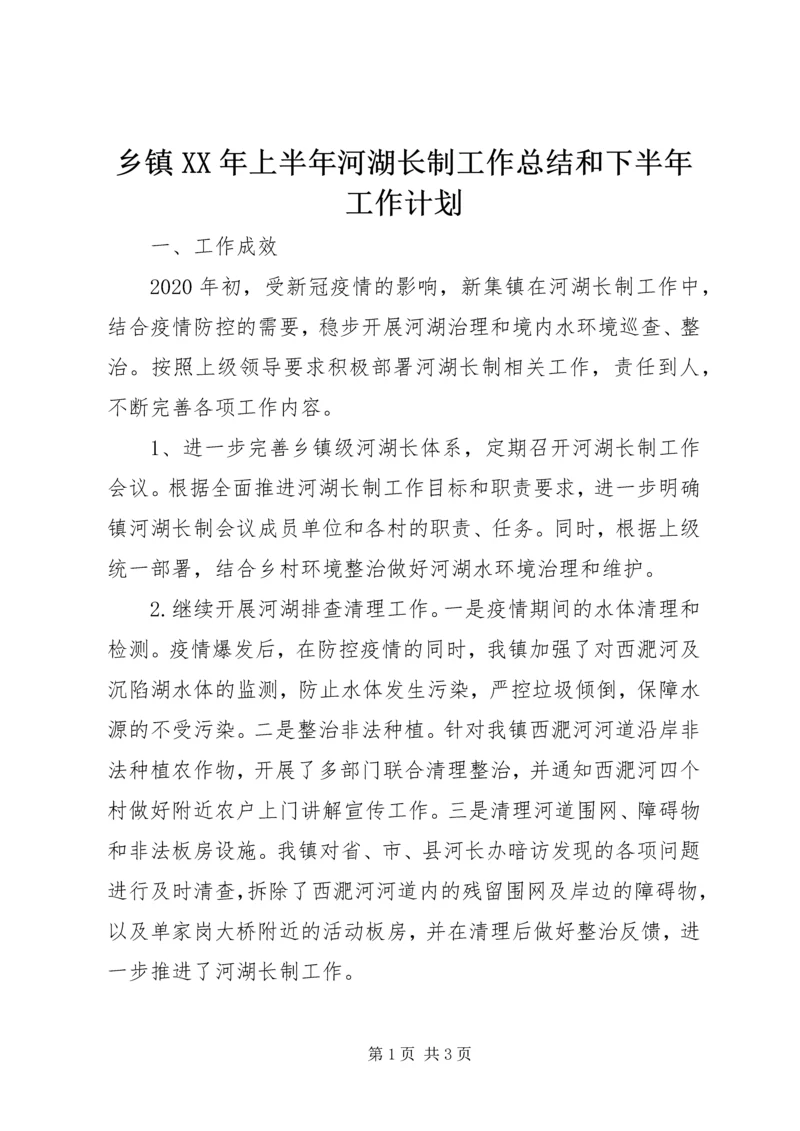 乡镇某年上半年河湖长制工作总结和下半年工作计划.docx