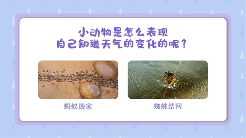 蓝色卡通插画简约小小气象员幼儿园认识天气教学课件PPT课件