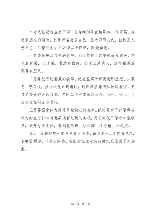 如何做好派驻纪检监察工作心得体会.docx