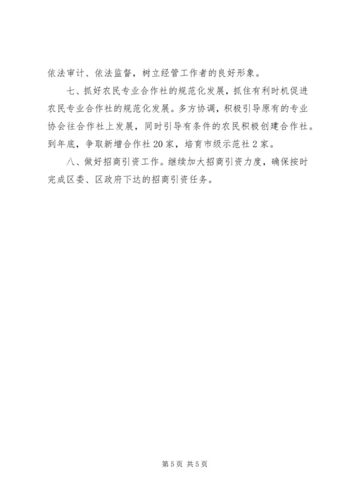 经管局项目建设年工作计划.docx