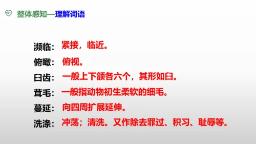 第16课《我为什么而活着》同步课件