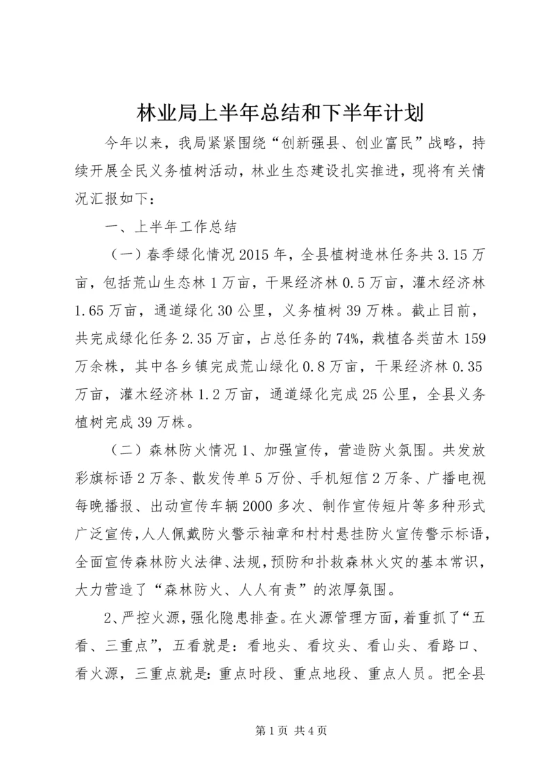 林业局上半年总结和下半年计划.docx