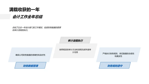 审计成果与未来展望PPT模板