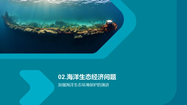 蓝海卫士行动