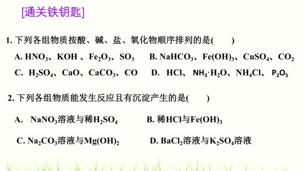 人教版九年级化学下册第十一单元 盐 化肥复习课件(共23张PPT)