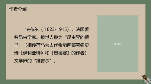 八年级下册蝉课件PPT模板
