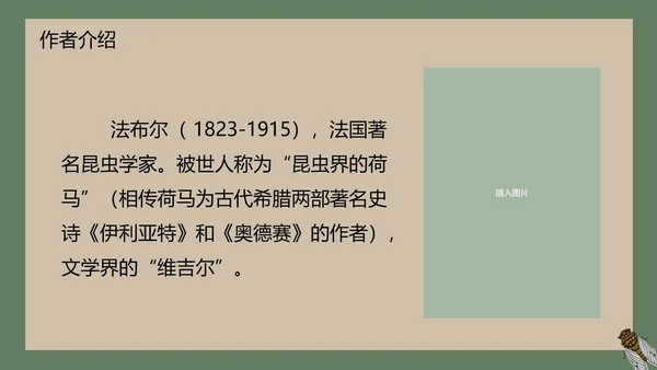 八年级下册蝉课件PPT模板
