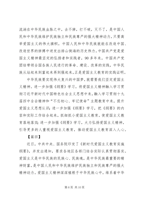 学习《新时代爱国主义教育实施纲要》心得五篇.docx