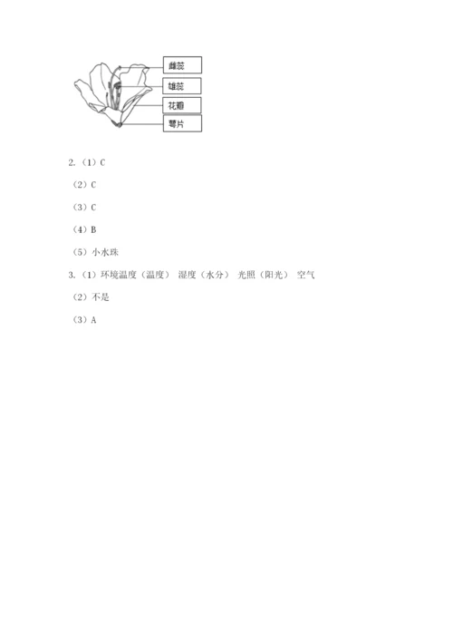 教科版科学四年级下册第一单元《植物的生长变化》测试卷审定版.docx