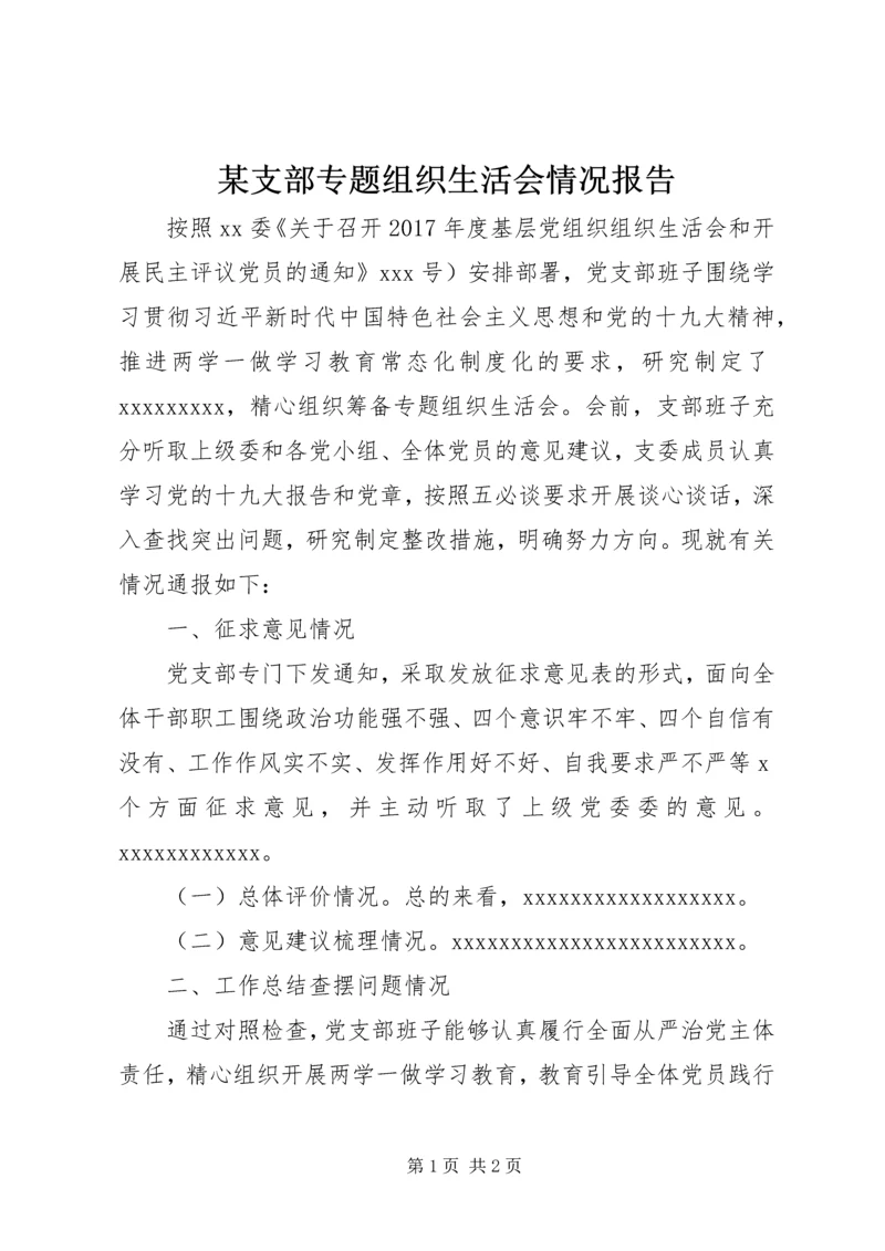 某支部专题组织生活会情况报告.docx