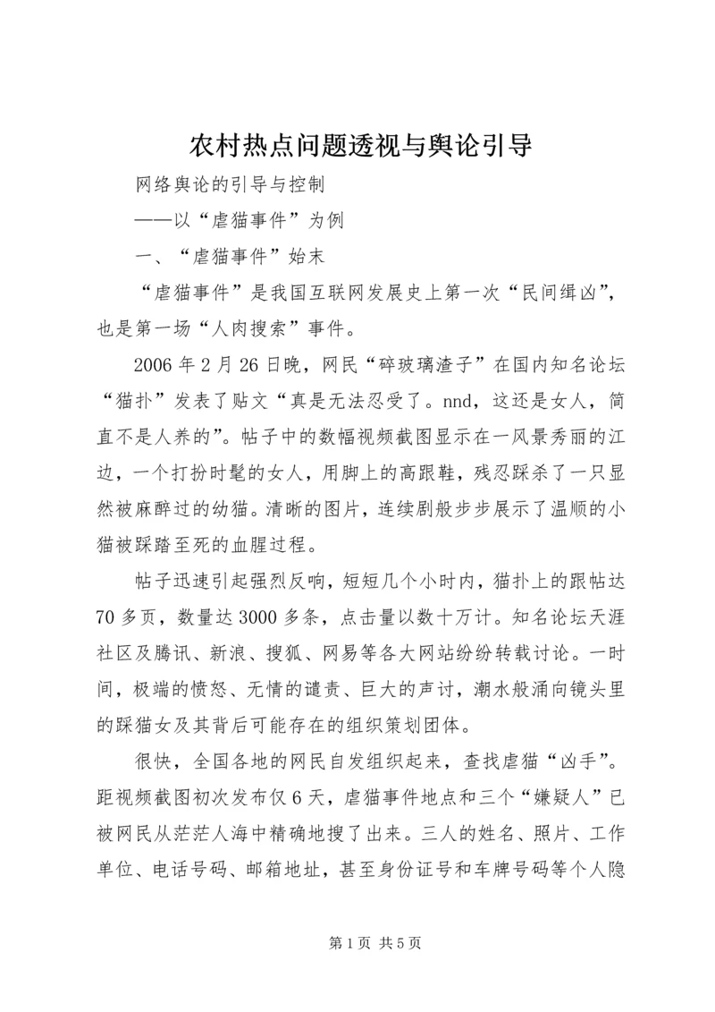 农村热点问题透视与舆论引导 (2).docx