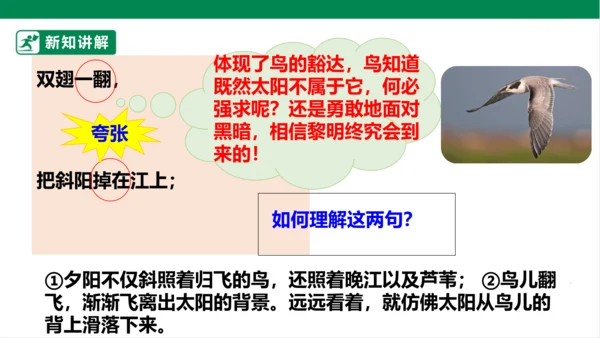 3.现代诗二首 秋晚的江上 课件