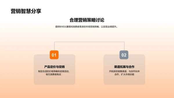 大暑营销策略分析