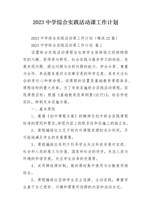 2023中学综合实践活动课工作计划.docx