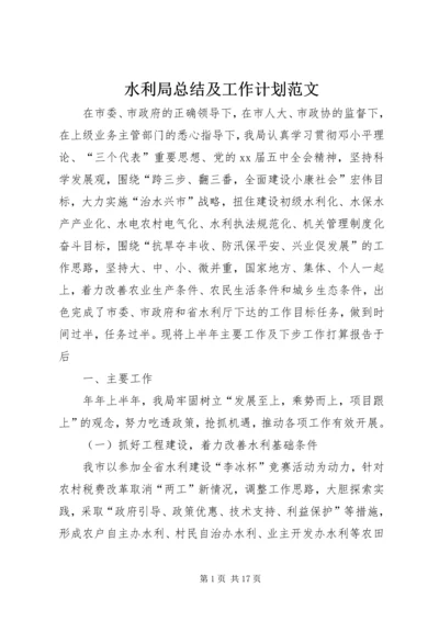 水利局总结及工作计划范文.docx