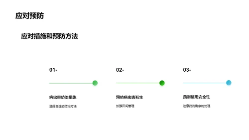 守护农作物的利器