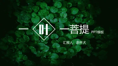 绿色叶子一叶一菩提通用PPT模板