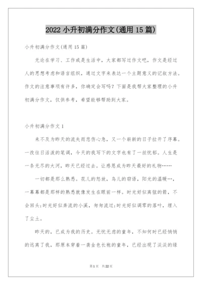 2022小升初满分作文(通用15篇).docx