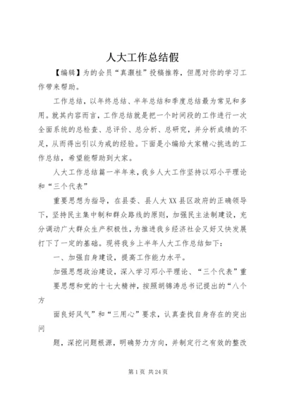 人大工作总结假.docx