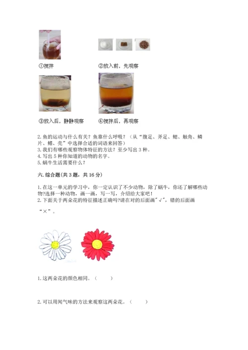 教科版一年级下册科学期末测试卷附答案（轻巧夺冠）.docx