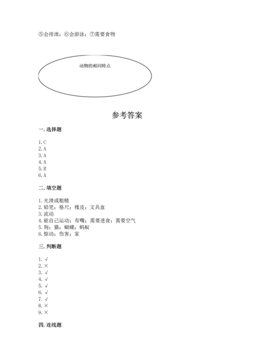 教科版一年级下册科学期末测试卷【考点精练】.docx