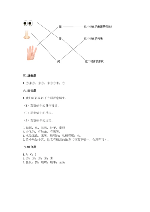 教科版一年级下册科学期末测试卷（全优）.docx