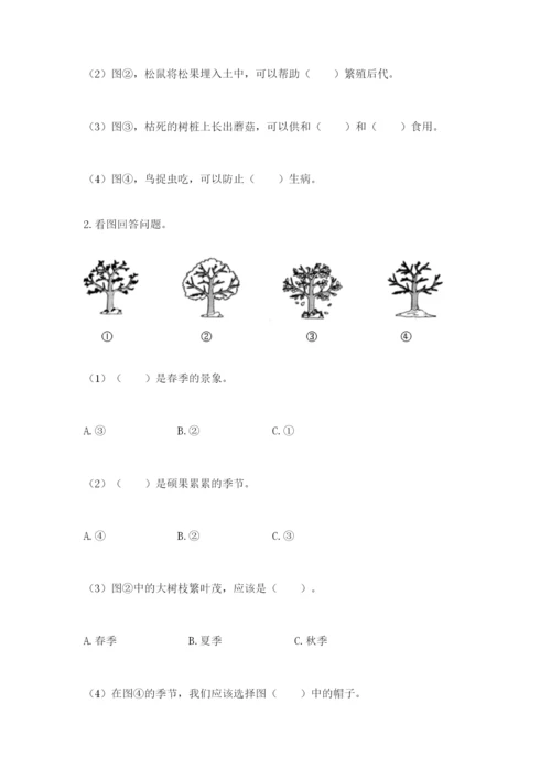 教科版二年级上册科学期末测试卷含答案解析.docx