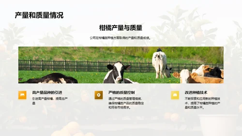 柑橘产业：未来之路