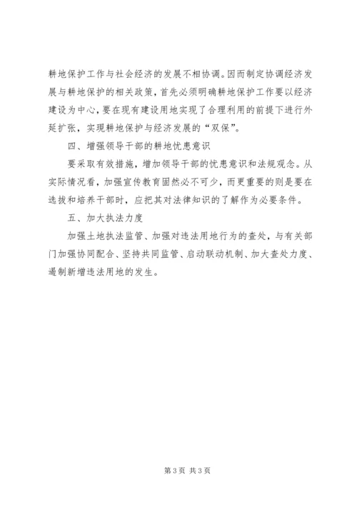 国土所关于耕地保护工作的调研报告 (3).docx