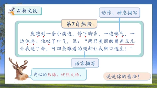 【核心素养】部编版语文三年级下册-7. 鹿角和鹿腿 第2课时（课件）